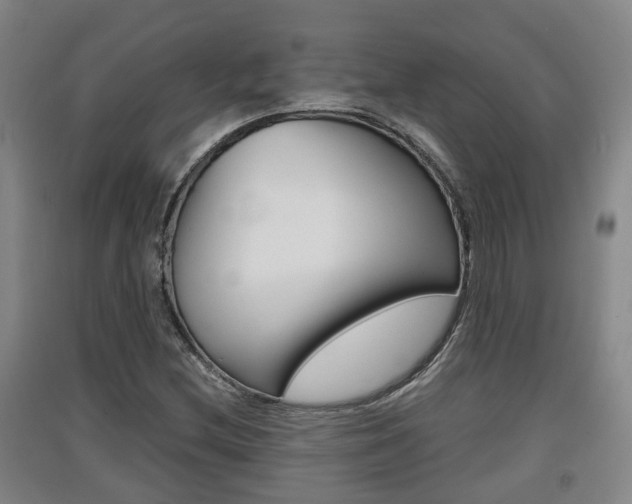 X0000091551212200708171034