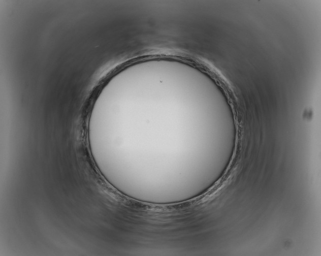 X0000091551215200708171034