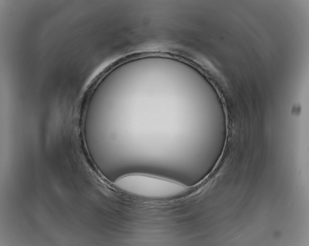 X0000091551216200708171034