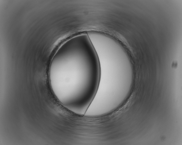 X0000091551218200708171034