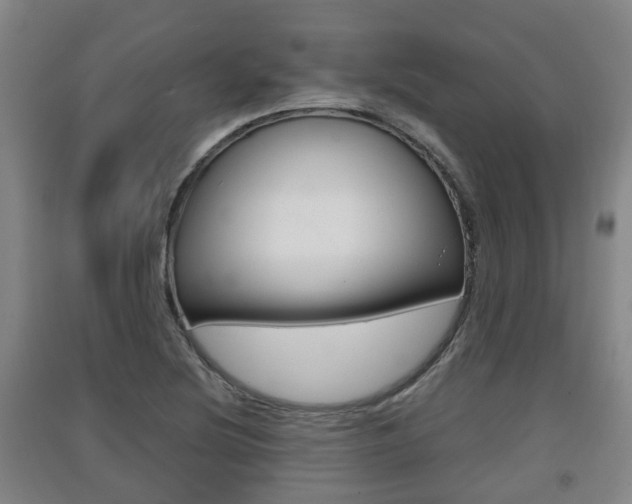 X0000091551220200708171034