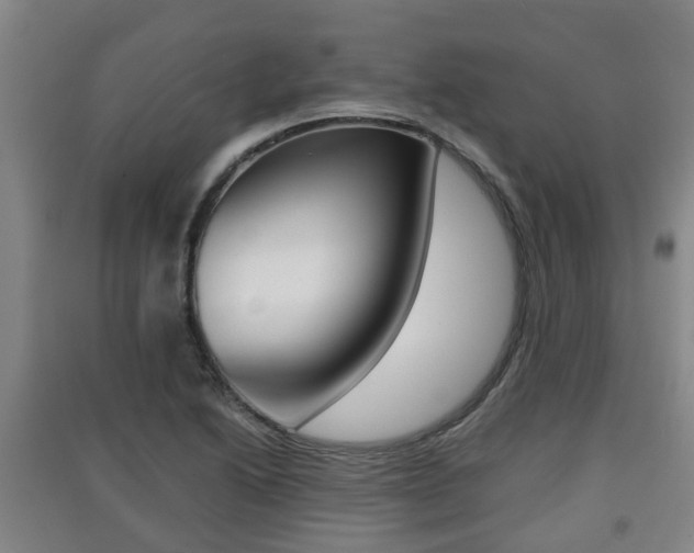 X0000091551222200708171034