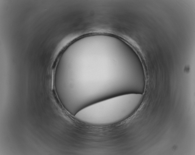 X0000091551223200708171034
