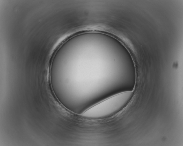X0000091551224200708171034