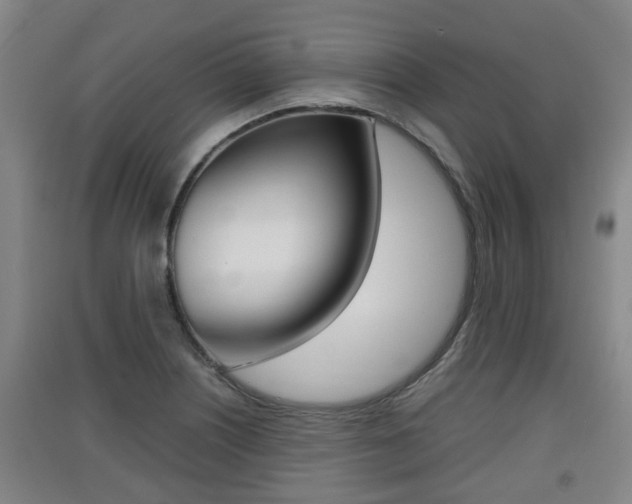 X0000091551226200708171034