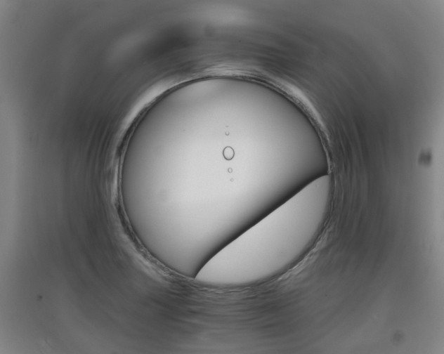 X0000091551227200708171034