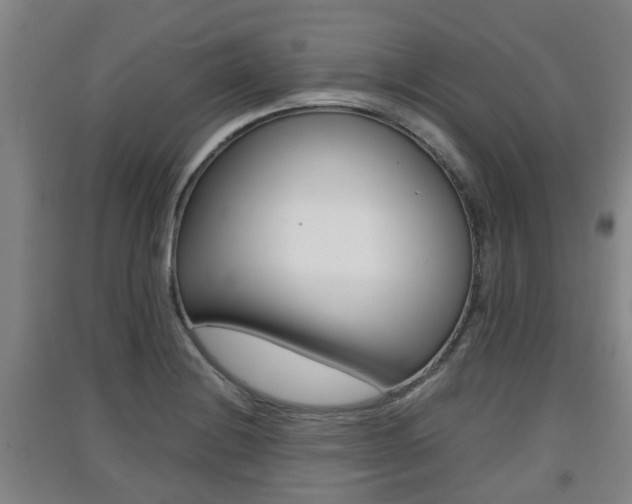 X0000091551228200708171034