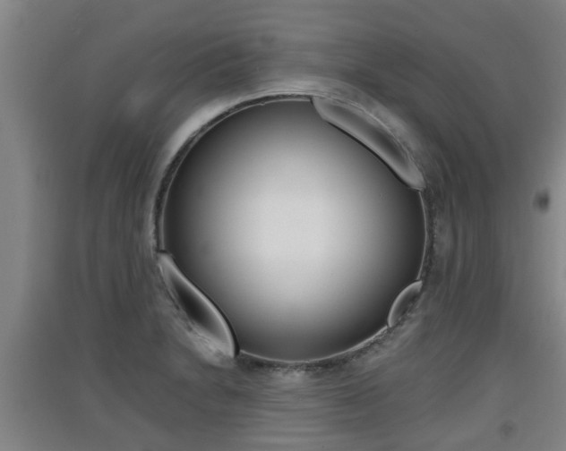 X0000091551230200708171034