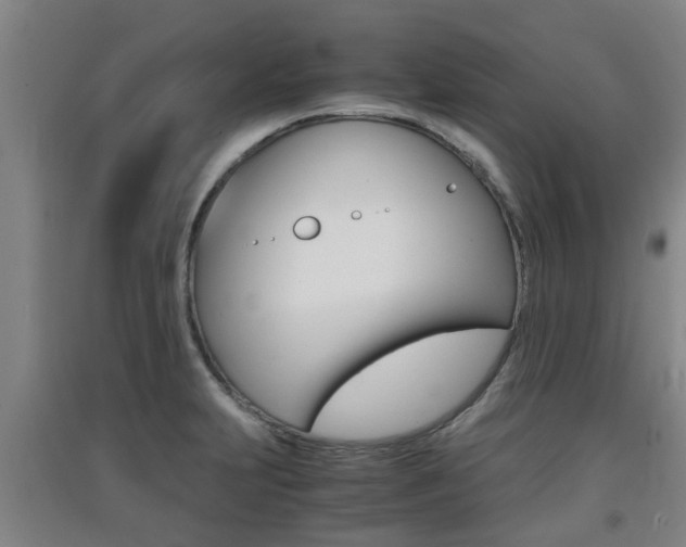 X0000091551231200708171034