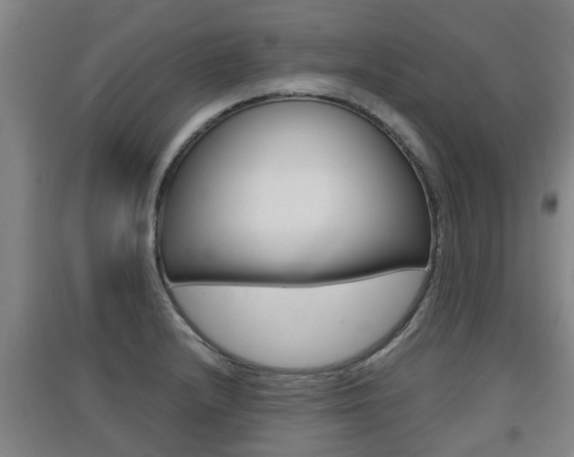 X0000091551232200708171034