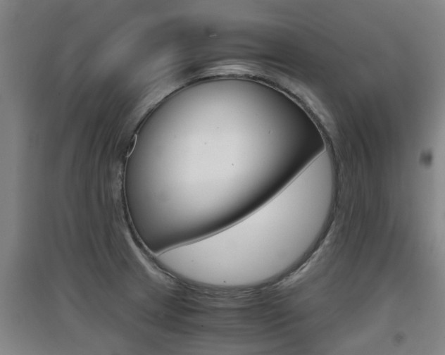 X0000091551233200708171034
