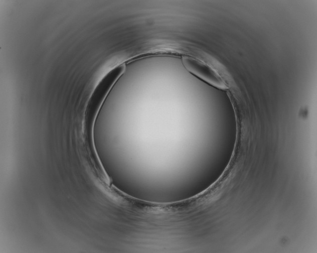 X0000091551234200708171034