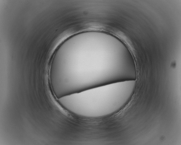 X0000091551235200708171034