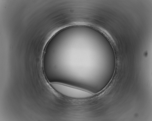 X0000091551236200708171034