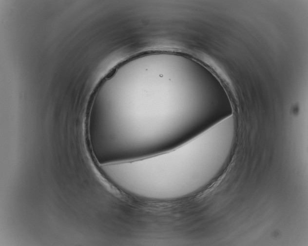 X0000091551237200708171034