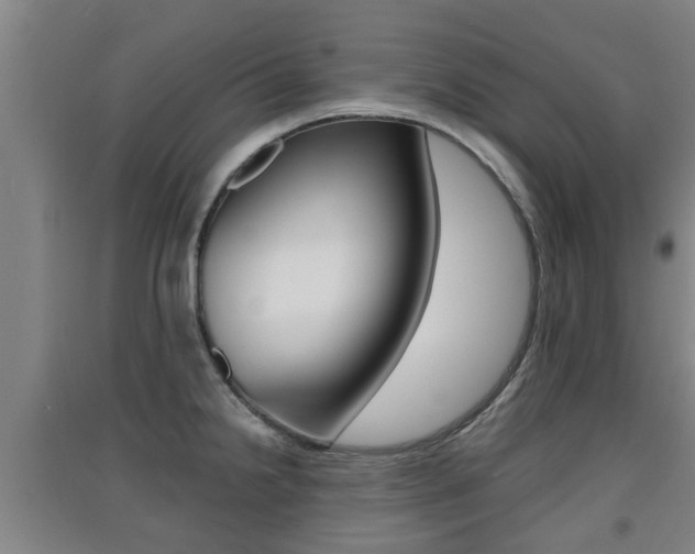 X0000091551238200708171035