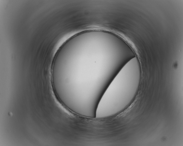 X0000091551239200708171035