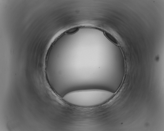 X0000091551240200708171035