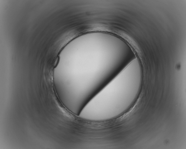 X0000091551241200708171035