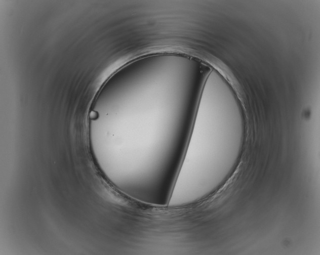 X0000091551242200708171035