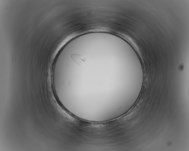 X0000091551243200708171035