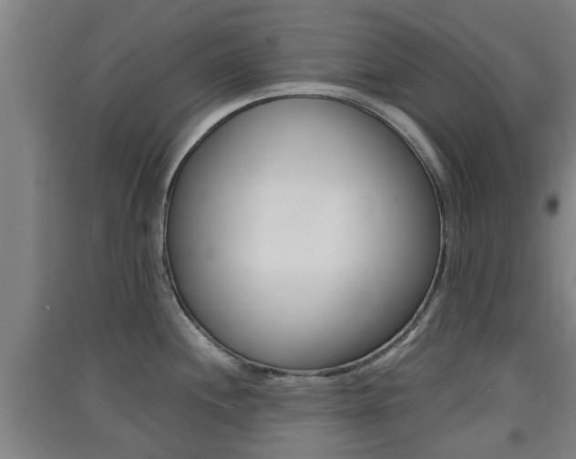 X0000091551244200708171035