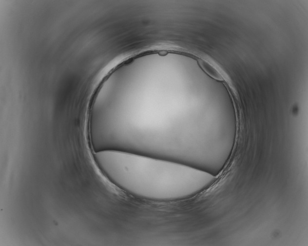 X0000091551245200708171035