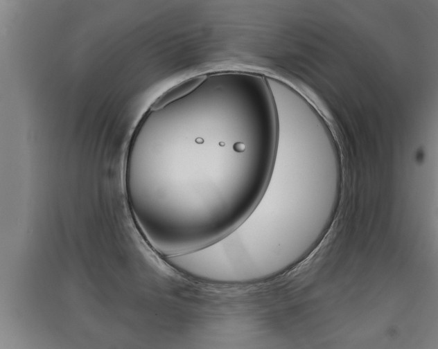 X0000091551246200708171035