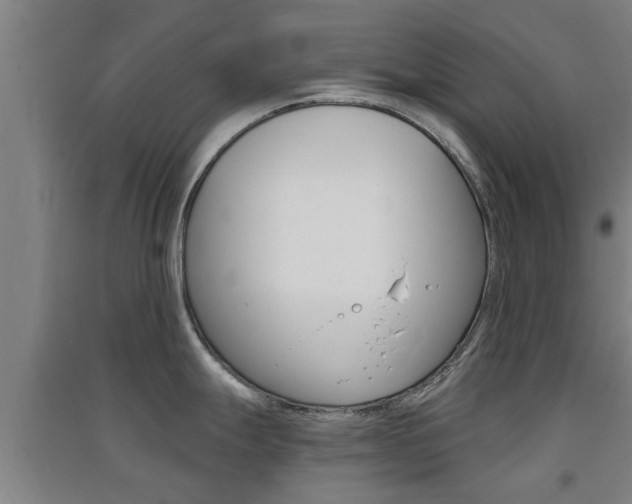 X0000091551247200708171035