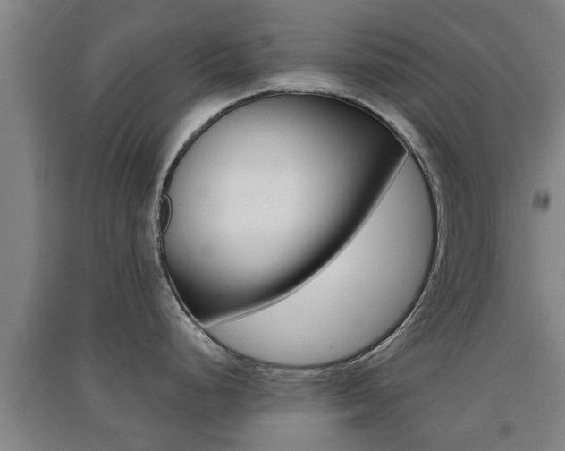 X0000091551248200708171035