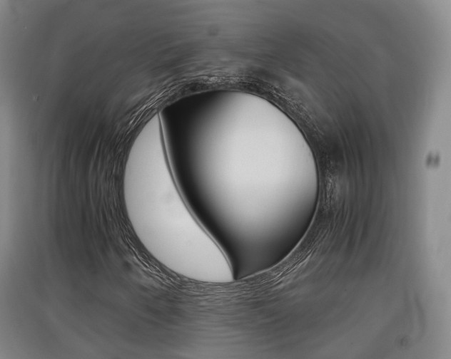X0000091551250200708171034