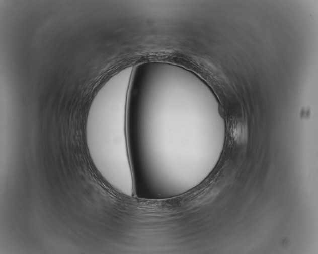 X0000091551252200708171034