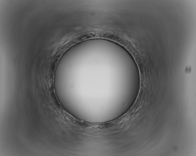 X0000091551253200708171034