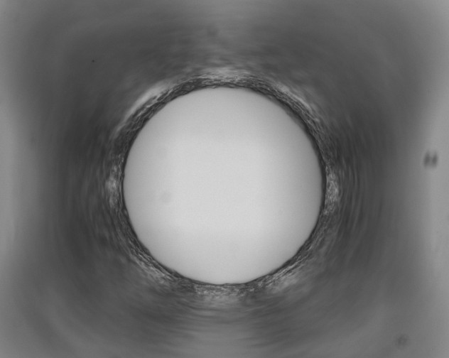 X0000091551254200708171034