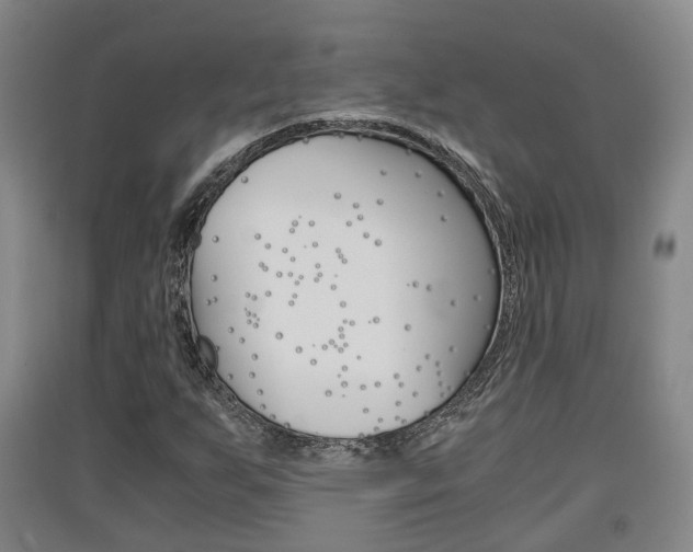 X0000091551255200708171034