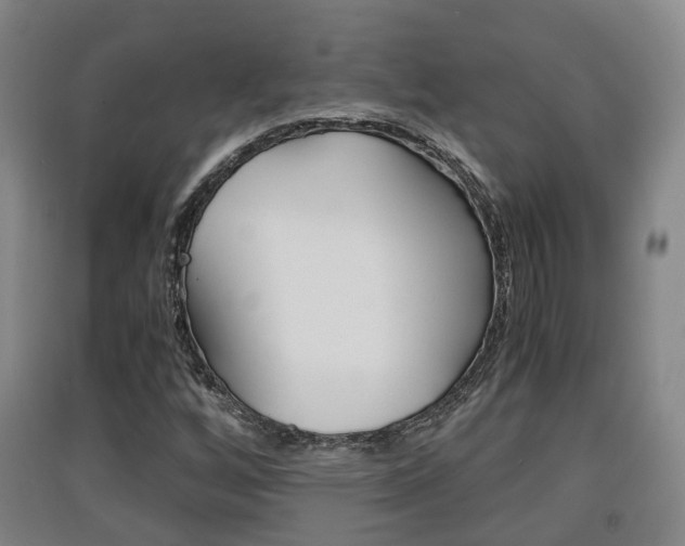 X0000091551256200708171034