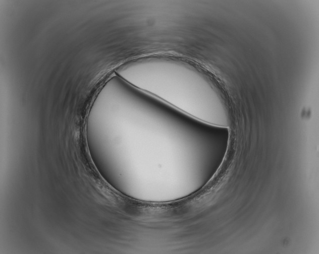 X0000091551257200708171034