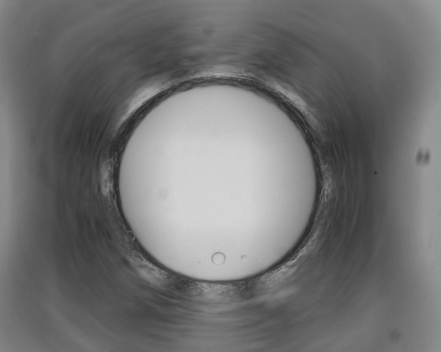 X0000091551258200708171034
