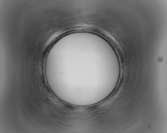 X0000091551259200708171034
