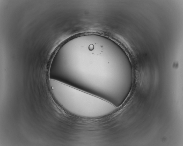 X0000091551260200708171034