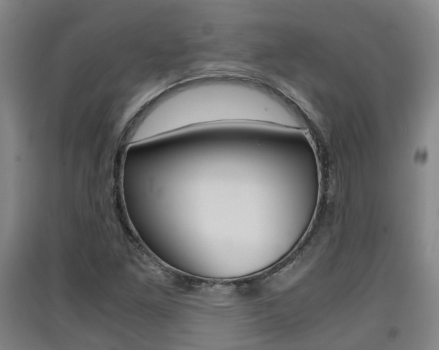 X0000091551261200708171034