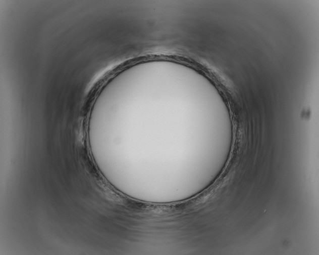 X0000091551262200708171034