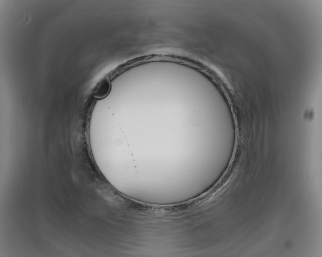 X0000091551263200708171034