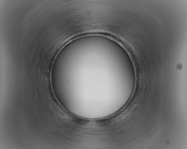X0000091551265200708171034