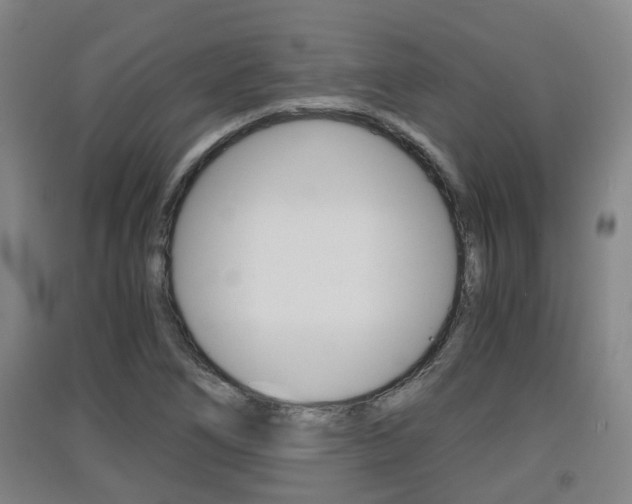X0000091551266200708171034