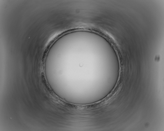 X0000091551267200708171034