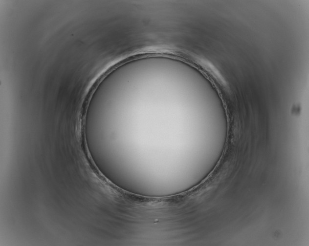 X0000091551268200708171034