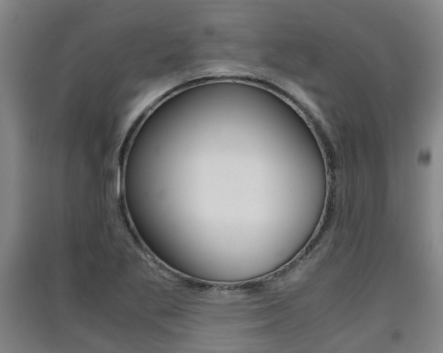 X0000091551269200708171034