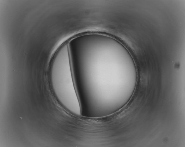 X0000091551270200708171034