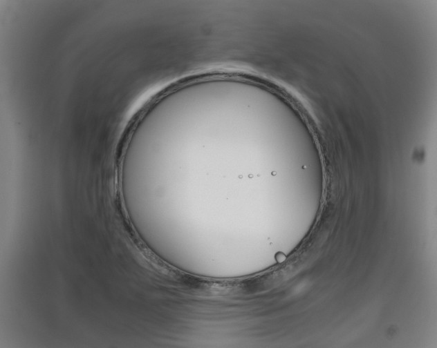 X0000091551271200708171034